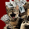 Copycat - Accueil